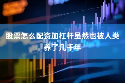 股票怎么配资加杠杆虽然也被人类养了几千年