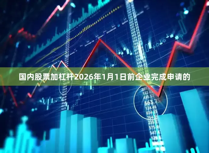 国内股票加杠杆2026年1月1日前企业完成申请的